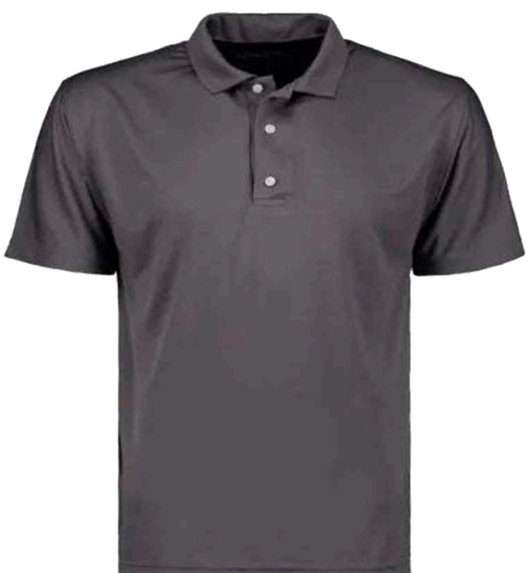 Polo Dry-Fit ROM-20